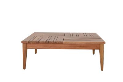 Mesa Centro Inhotim