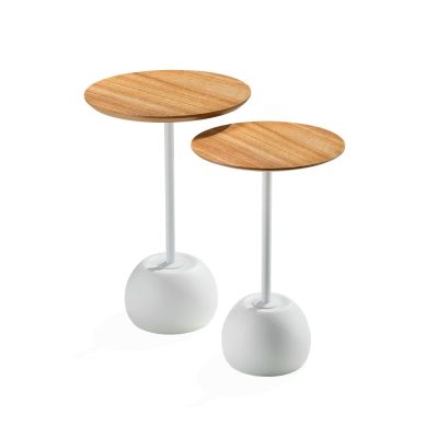 Apple Mini