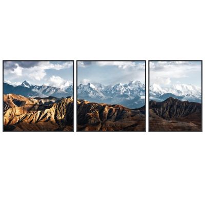 Canvas100200-001