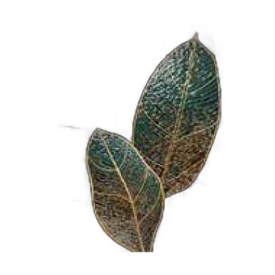 Cdak9090-002 Chanfrado Dourado