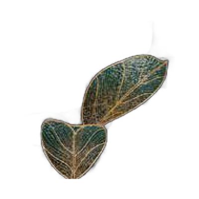 Cdak9090-001 Chanfrado Dourado