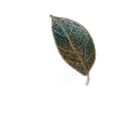 Cdak9090-003 Chanfrado Dourado
