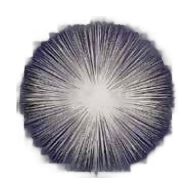 Ciak9090-001 Chanfrado Inox