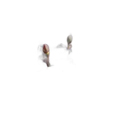 Fak70100-006 Filete