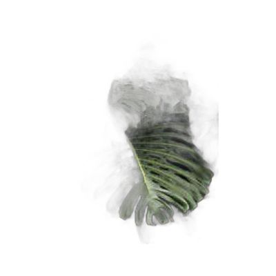 Fak90130-018 Filete