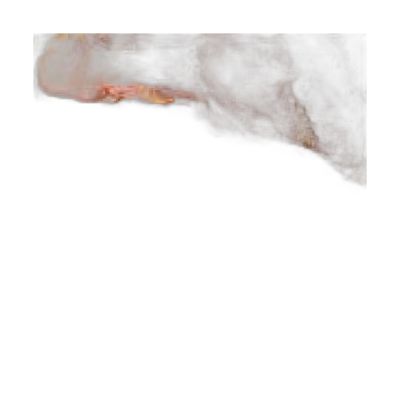 Fak90130-048 Filete