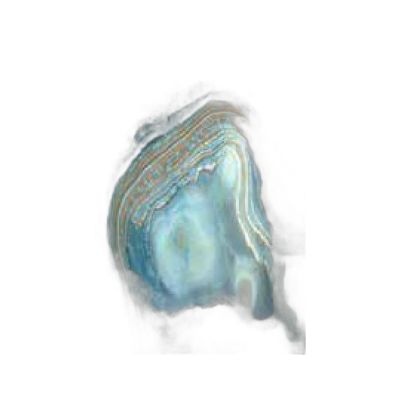 Fak100160-003 Filete