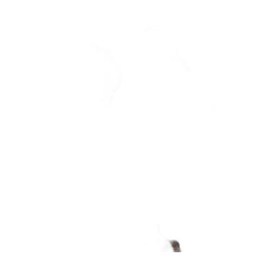 Fak100160-007 Filete