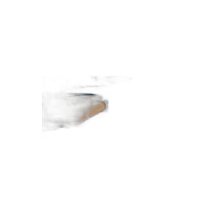 Fak100160-021 Filete