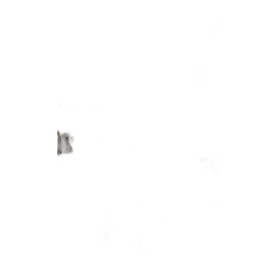 Fak100160-037 Filete