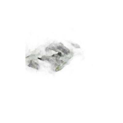 Fak100160-041 Filete