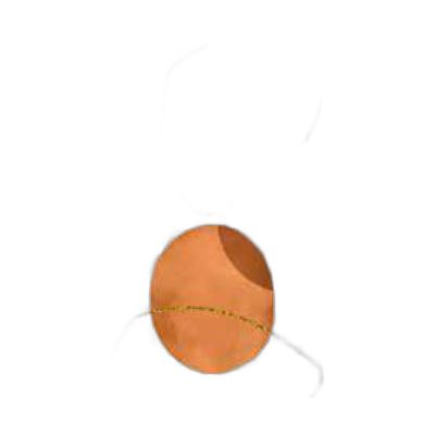 Fak100160-034s Filete