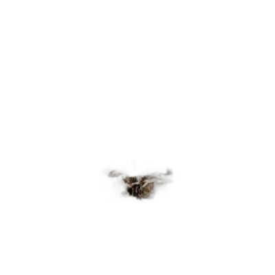 Fak100160-038 Filete