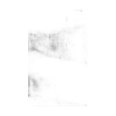Fak100200-006 Filete