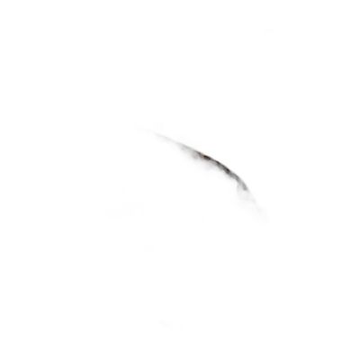 Fak100200-010 Filete