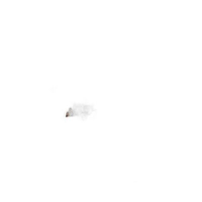 Fak100160-046 Filete