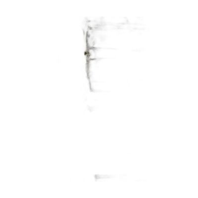 Fak200100-003 Filete