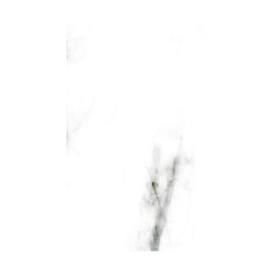 Fak100200-015 Filete