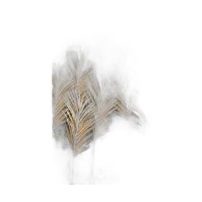 Canvas100150-003