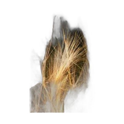 Canvas100150-005