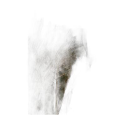 Canvas100150-006