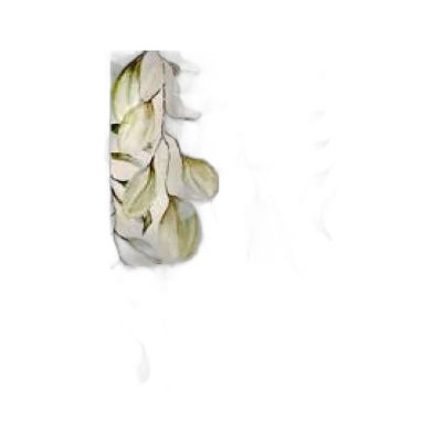 Canvas100150-029