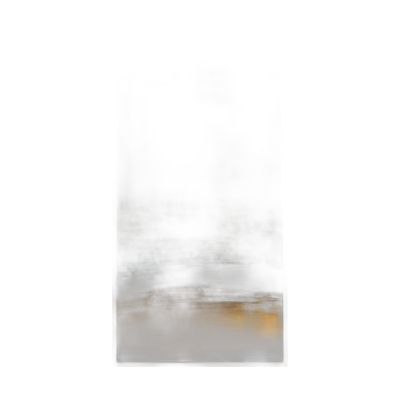 Canvas100200-002