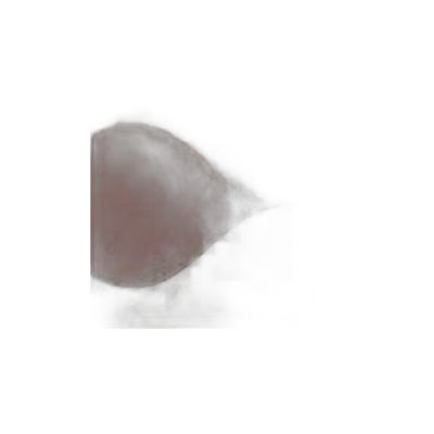 Ci100160-007