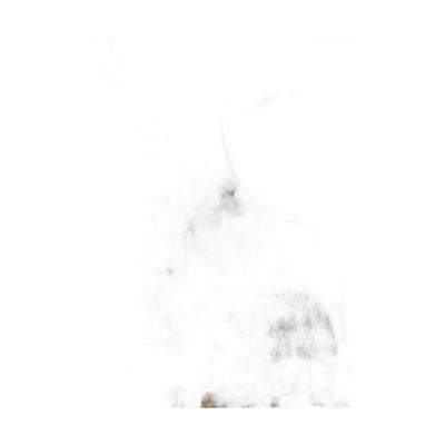 Ci100160-009
