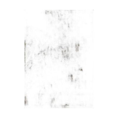 F100160-012