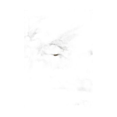 F100160-081