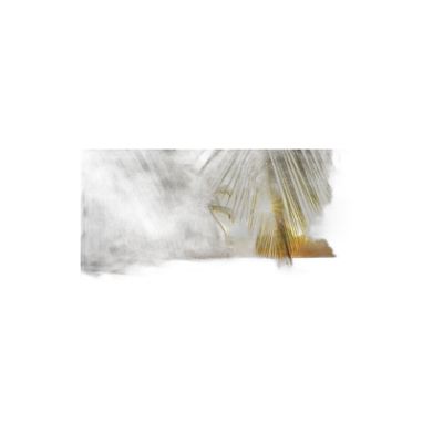 F200100-006