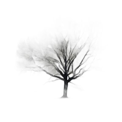 Ak37-9090-028