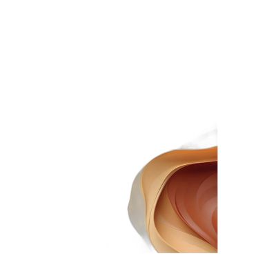 Ak37-90130-012