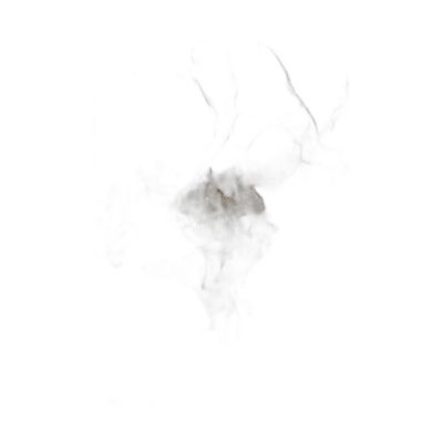 Ak37-90130-009