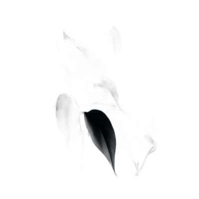Ak37-90130-019