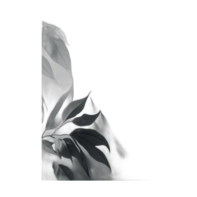 Ak37-90130-020