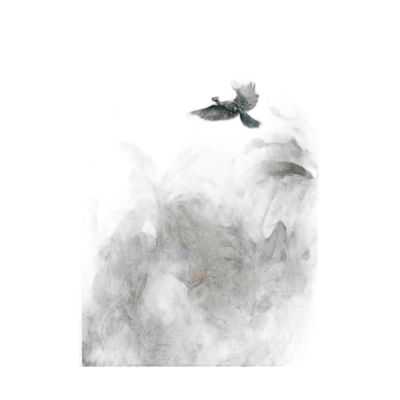 Ak37-100150-002
