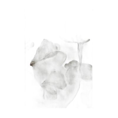 Ak37-100150-006