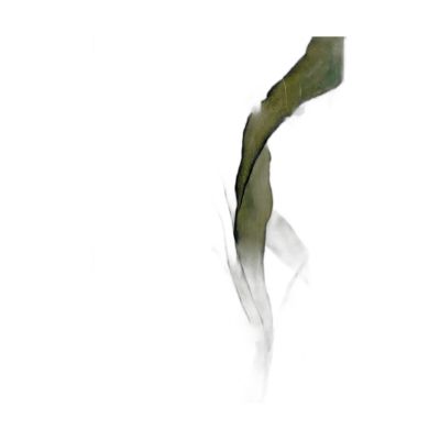 Ak37-100150-013