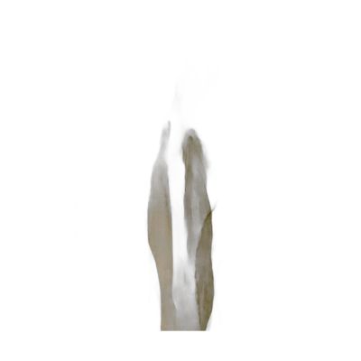 Ak37-100150-010