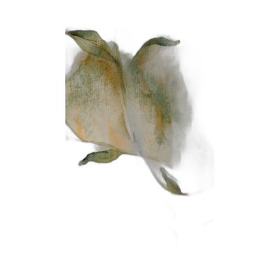 Ak37-100150-017