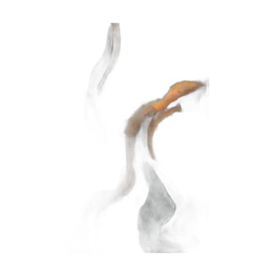 Ak37-100150-019