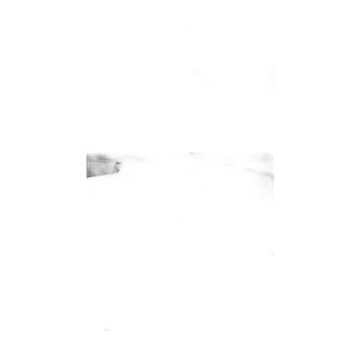 Ak37-100160-009